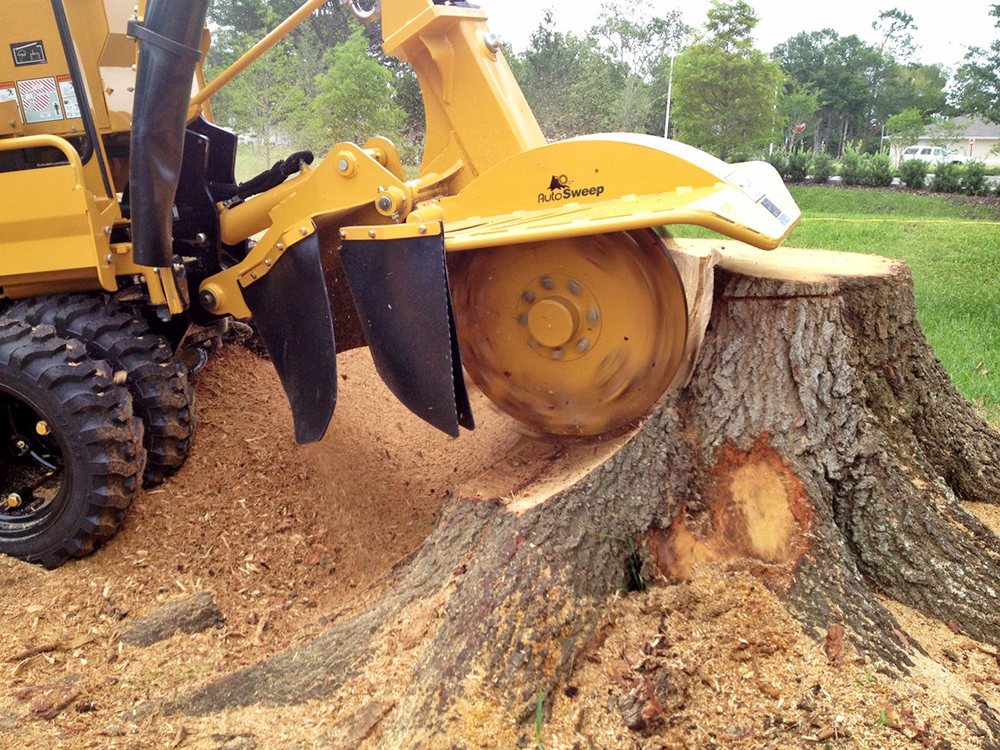 Atkins Tree Care gallery 5